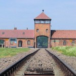 Birkenau